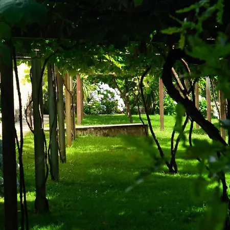 Dağ evi As Seis Chemineas